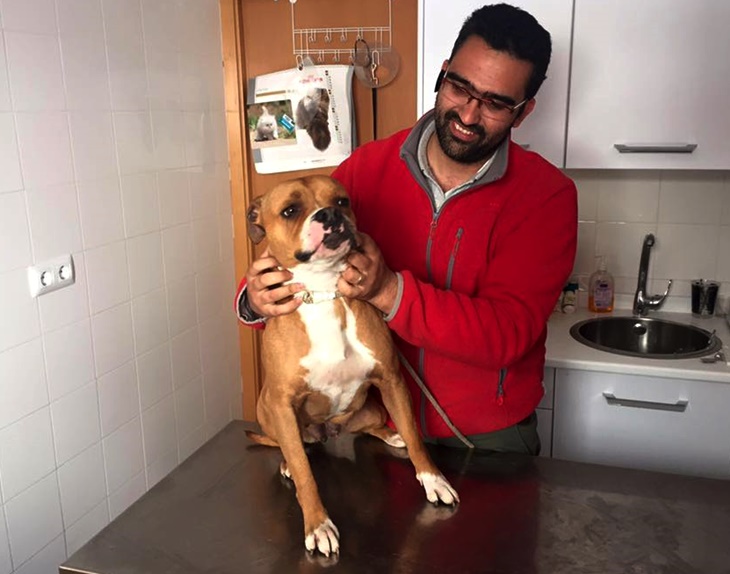 Un pitbull impide entrar y salir a los vecinos de un bloque en Badajoz