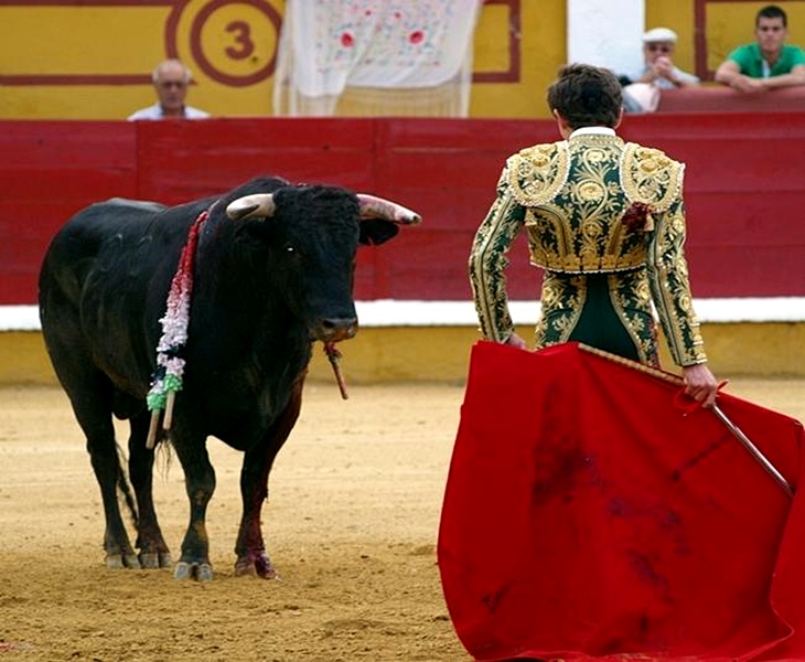 Ginés Marín intensa preparación de cara a la alternativa