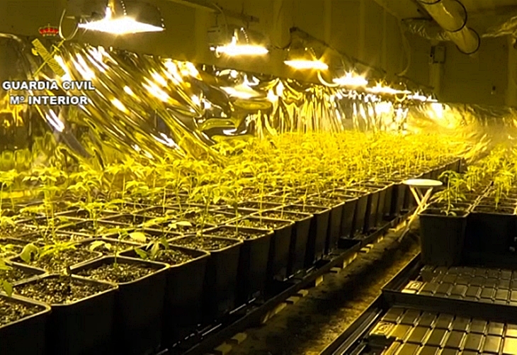 Importante operación contra el narcotráfico en España