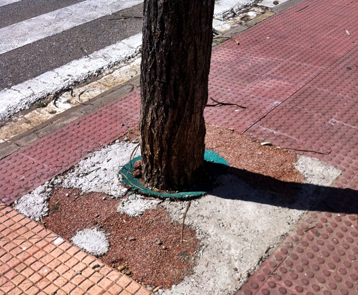 Denuncian la "chapuza" en los arreglos de los alcorques de la Urbanización Guadiana