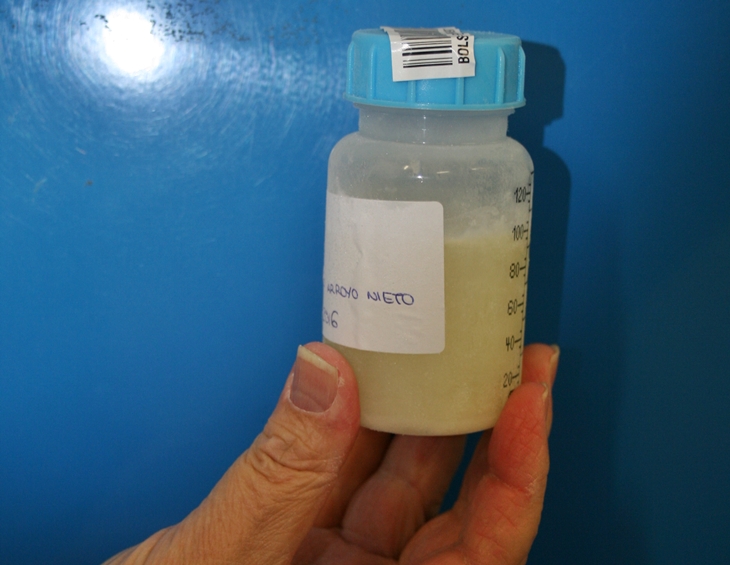 Los bancos de leche materna presentan en Mérida una Guía de Consenso