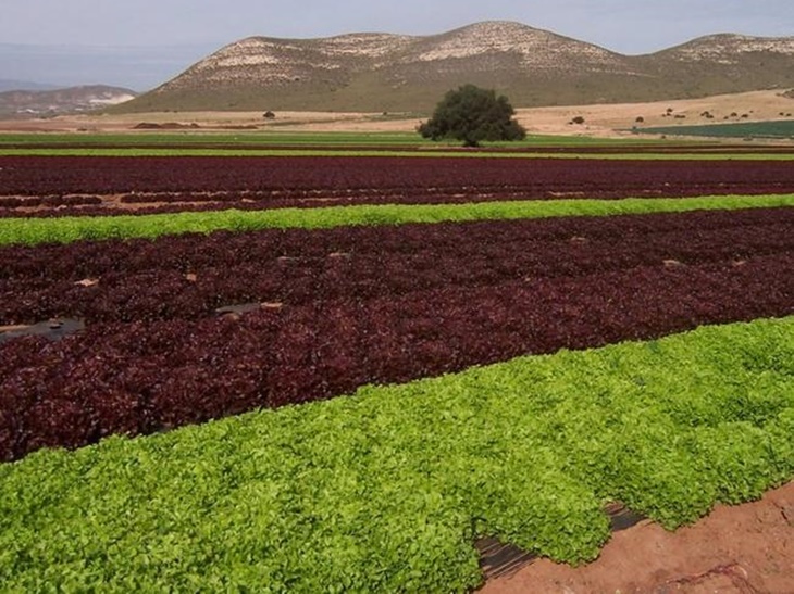 La Unión propone medidas para mejorar la Ley Agraria