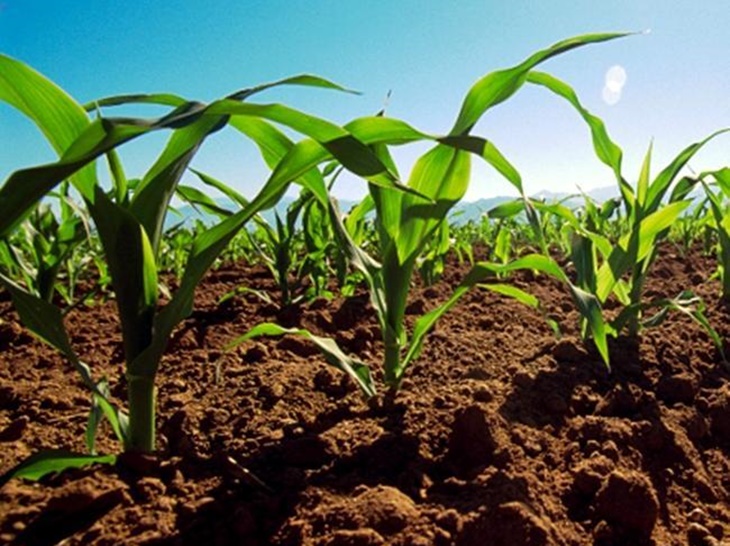 “Extremadura pierde 59,72€ millones de euros por la mala negociación de la PAC”