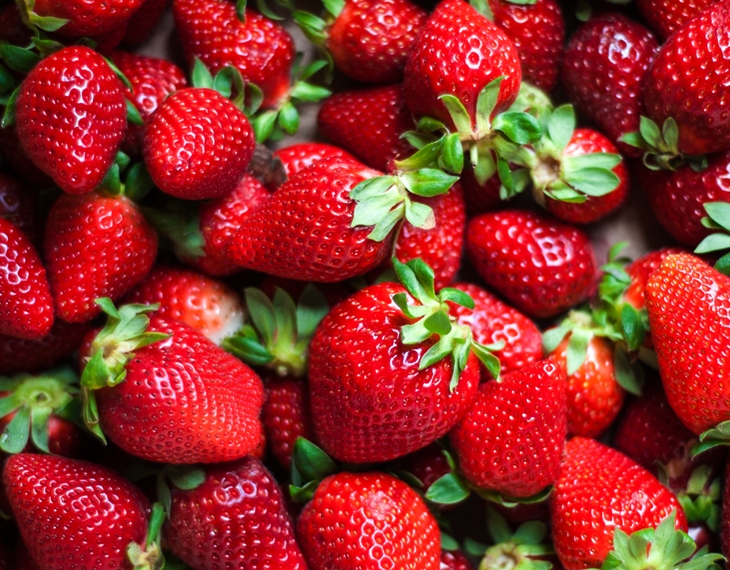 Intervenidos más de 330 kilos de fresas en Badajoz