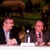 La Junta resalta la importancia de la exportación del sector del cerdo ibérico