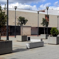 Desprendimientos en el Luis de Morales