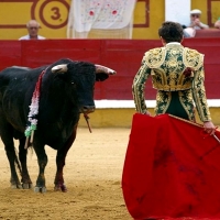 Ginés Marín intensifica su preparación de cara a la alternativa