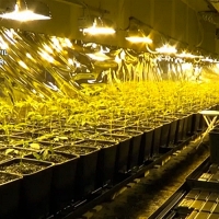 Importante operación contra el narcotráfico en España