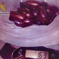 Detenido con 15 bellotas de hachís ocultas en la zona genital