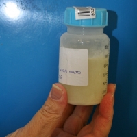 Los bancos de leche materna presentan en Mérida una Guía de Consenso