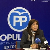 PP: “La Junta se ha declarado en rebeldía ante la LOMCE”