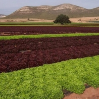 La Unión propone medidas para mejorar la Ley Agraria