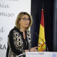 El PP pide un Plan de Lucha para la reducción de listas de espera