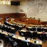 La Asamblea exige que se sustituyan las líneas 901 y 902 por otras gratuitas