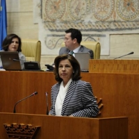 La Junta rechaza la adopción de las medidas impuestas por Montoro
