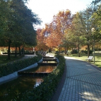 Fotografía digital y mascotas se citan en el Parque del Príncipe