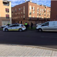 Encuentran en Badajoz un galgo abandonado que había sido robado en Sevilla
