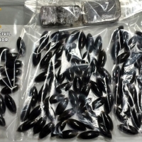 Sorprendidos con 115 bellotas y 2 tabletas de hachís