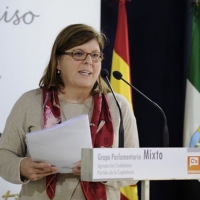 C's pide que se abra una investigación para el incendio de Campamento Dignidad