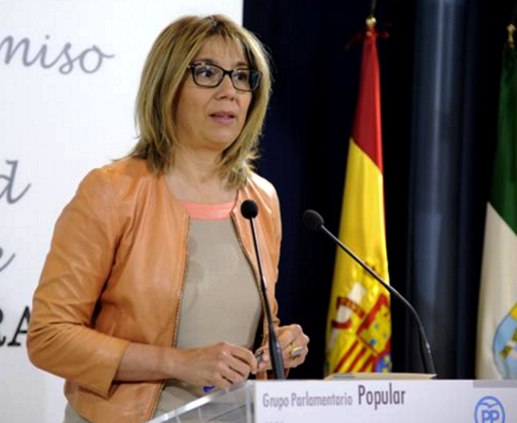 El PP no apoyará la Ley de Medidas Tributarias si la Junta no paga el IBI sanitario