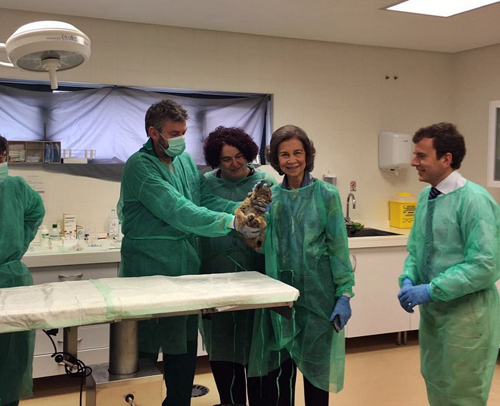 La Reina Sofía visita el centro de cría de lince ibérico de Zarza de Granadilla