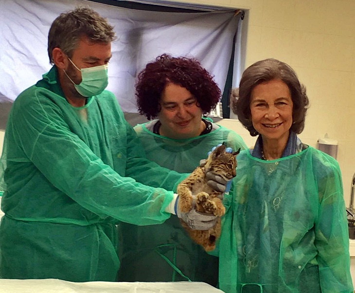La Reina Sofía visita el centro de cría de lince ibérico de Zarza de Granadilla