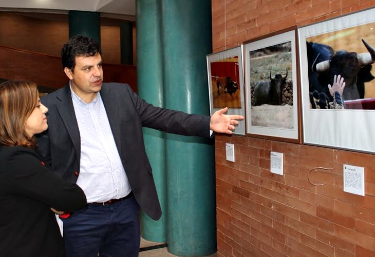Una exposición retrata a los toros de veinte ganaderías diferentes