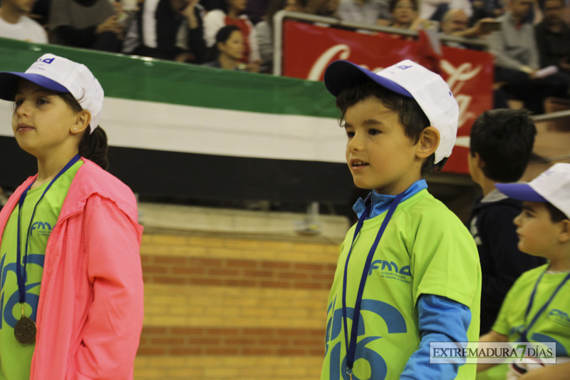 Imágenes de la Clausura de las Escuelas Deportivas Municipales - GALERÍA I