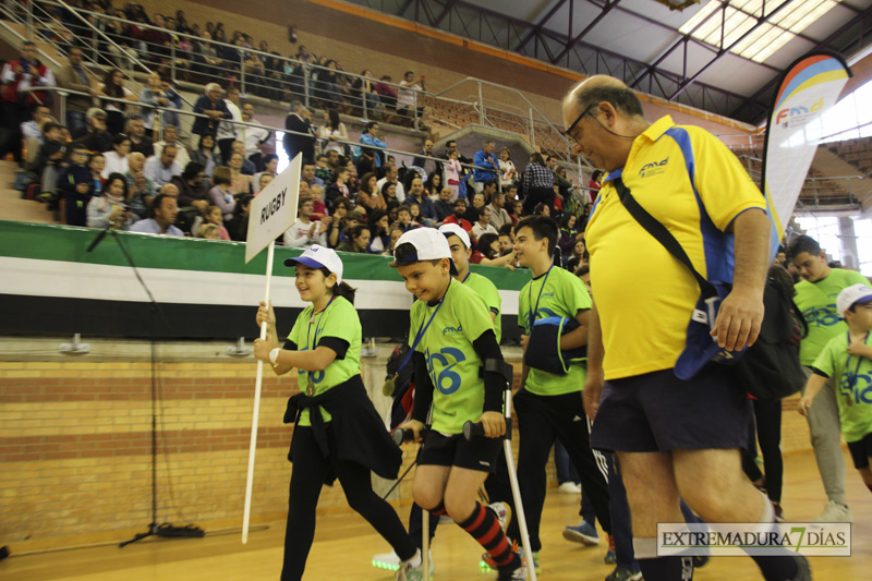 Imágenes de la Clausura de las Escuelas Deportivas Municipales - GALERÍA II