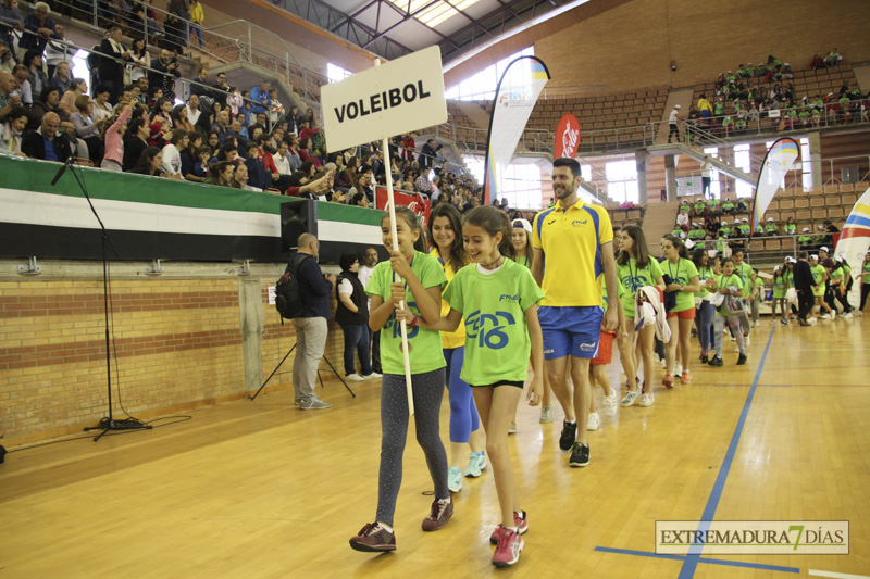 Imágenes de la Clausura de las Escuelas Deportivas Municipales - GALERÍA II