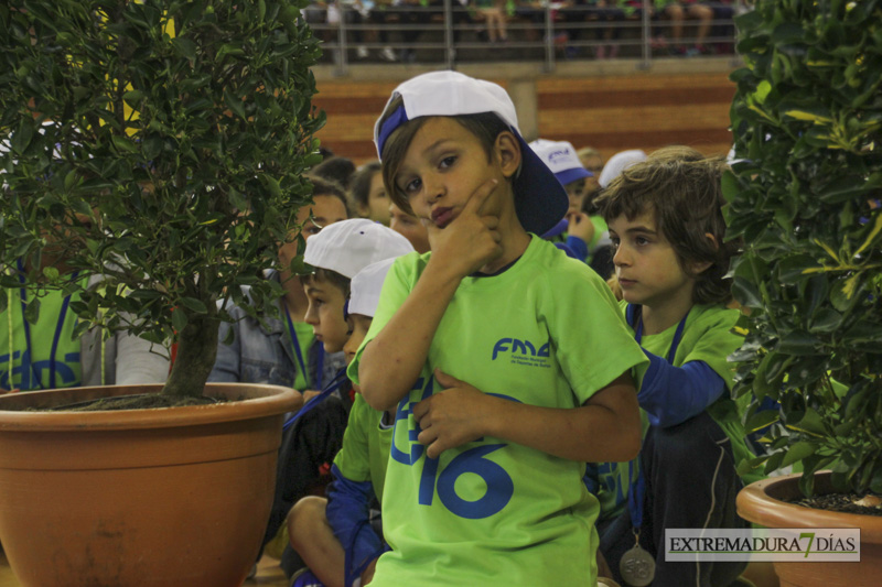 Imágenes de la Clausura de las Escuelas Deportivas Municipales - GALERÍA II