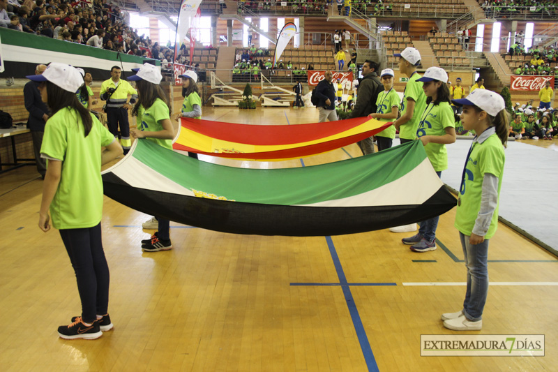Imágenes de la Clausura de las Escuelas Deportivas Municipales - GALERÍA II