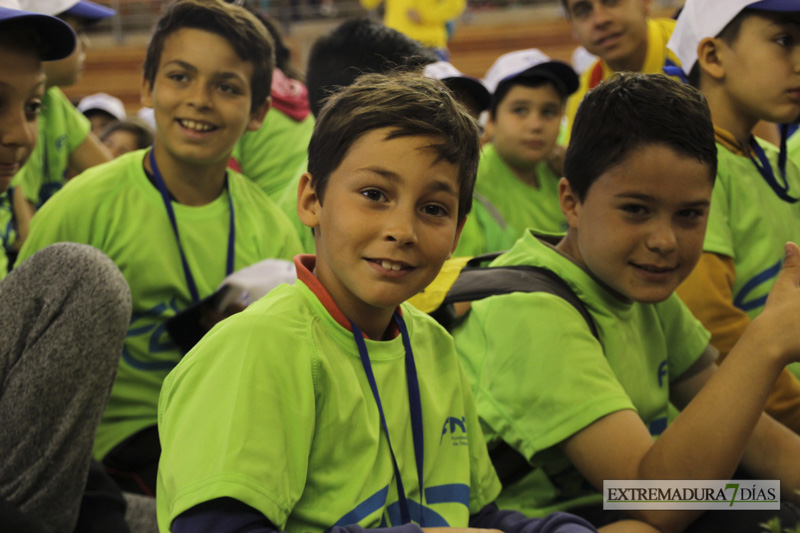 Imágenes de la Clausura de las Escuelas Deportivas Municipales - GALERÍA II