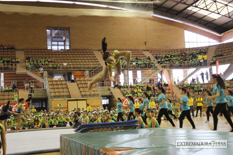 Imágenes de la Clausura de las Escuelas Deportivas Municipales - GALERÍA II