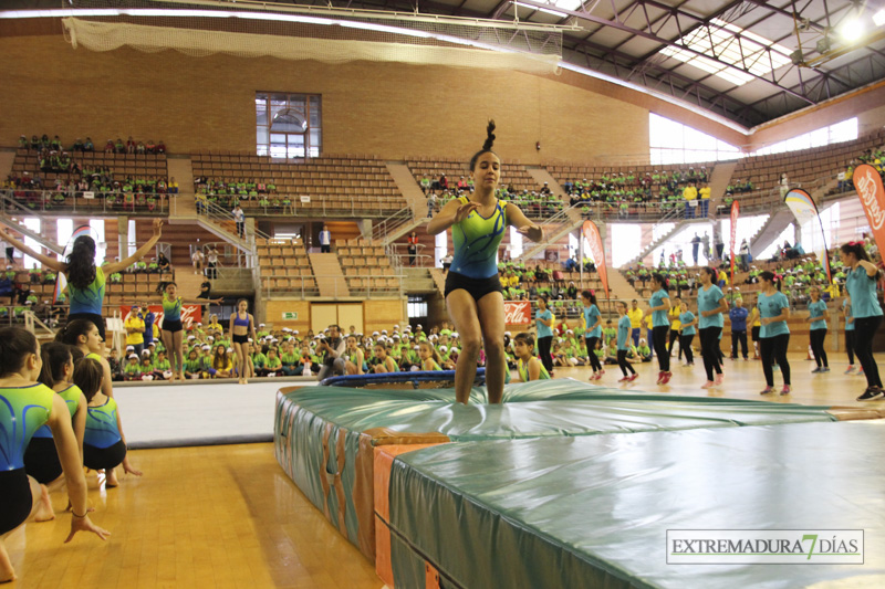 Imágenes de la Clausura de las Escuelas Deportivas Municipales - GALERÍA II