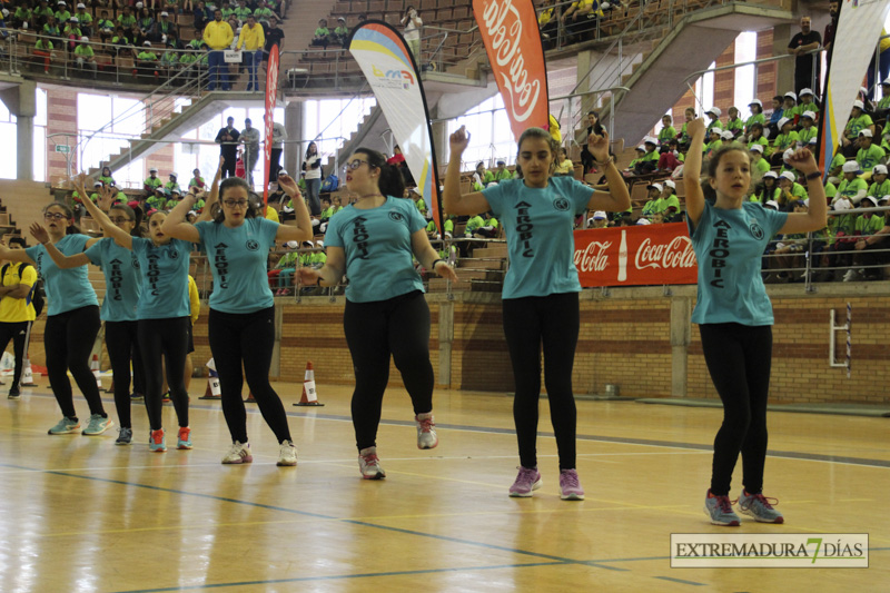 Imágenes de la Clausura de las Escuelas Deportivas Municipales - GALERÍA II