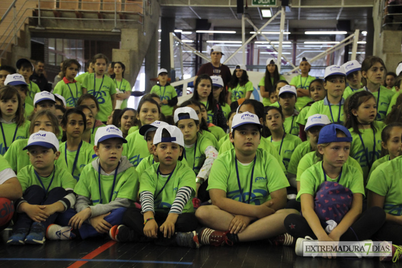 Imágenes de la Clausura de las Escuelas Deportivas Municipales - GALERÍA II