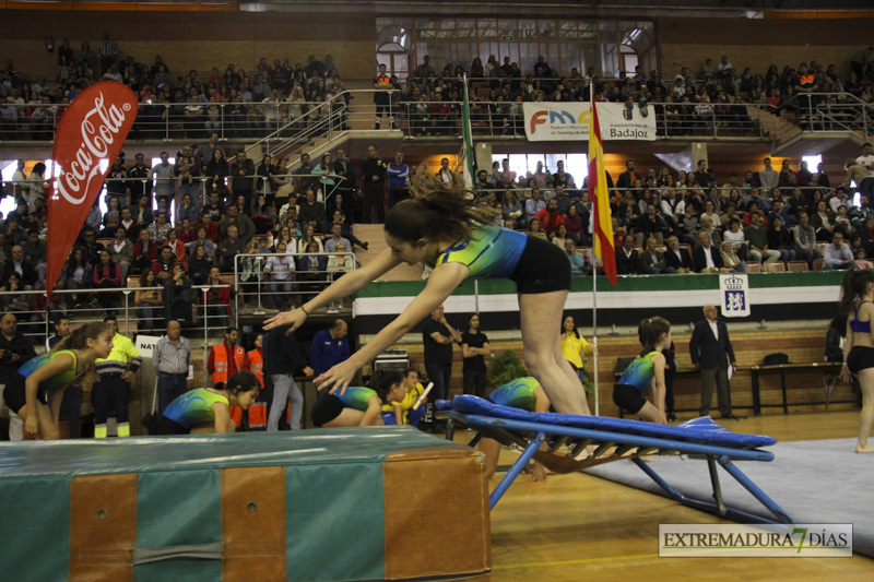 Imágenes de la Clausura de las Escuelas Deportivas Municipales - GALERÍA II