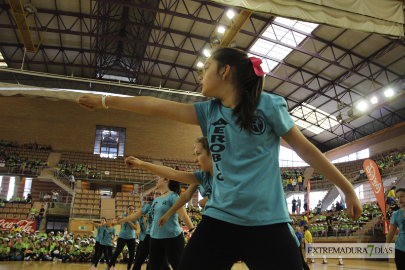 Imágenes de la Clausura de las Escuelas Deportivas Municipales - GALERÍA II