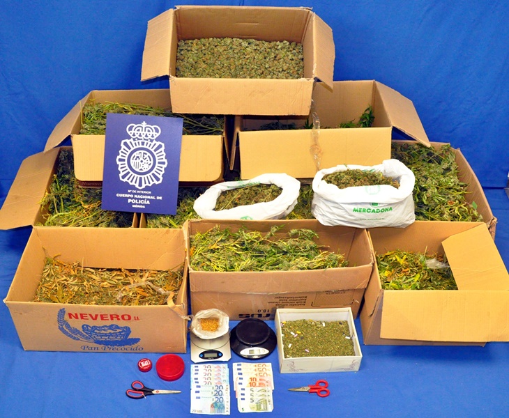 La Policía desmantela una plantación de “maría” en Mérida