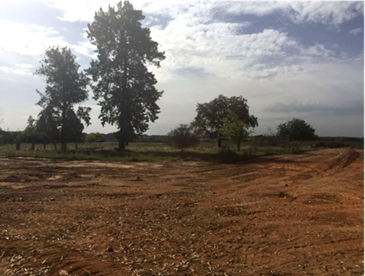 PSOE exige a  PP y C´S veracidad sobre las obras junto al parque Ascensión