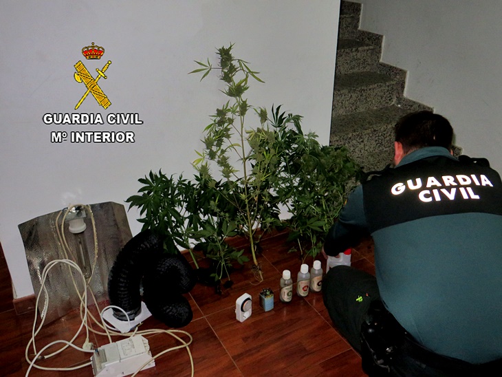 Desmantelado un laboratorio clandestino de marihuana en Jerte
