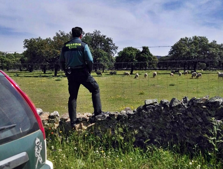 Detenido por estafar a varios ganaderos de La Siberia