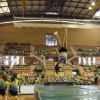 Imágenes de la Clausura de las Escuelas Deportivas Municipales - GALERÍA II