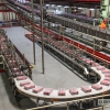Coca Cola muestra sus nuevas instalaciones a la prensa y radio extremeñas