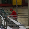 Coca Cola muestra sus nuevas instalaciones a la prensa y radio extremeñas