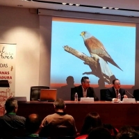 El Festival de las Aves incluye dos avistamientos al amanecer y al ocaso