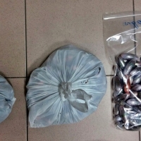 Dos detenidos cuando intentaban desprenderse de dos kilos y medio de droga