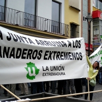 Ganaderos de toda la región se manifiestan ante la Presidencia