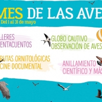 Amplio programa de actividades para el Mes de las Aves